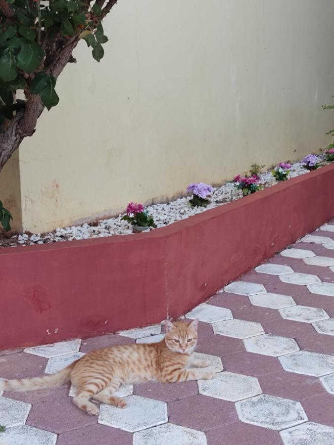 Hotel Takis Agios Georgios  Kültér fotó